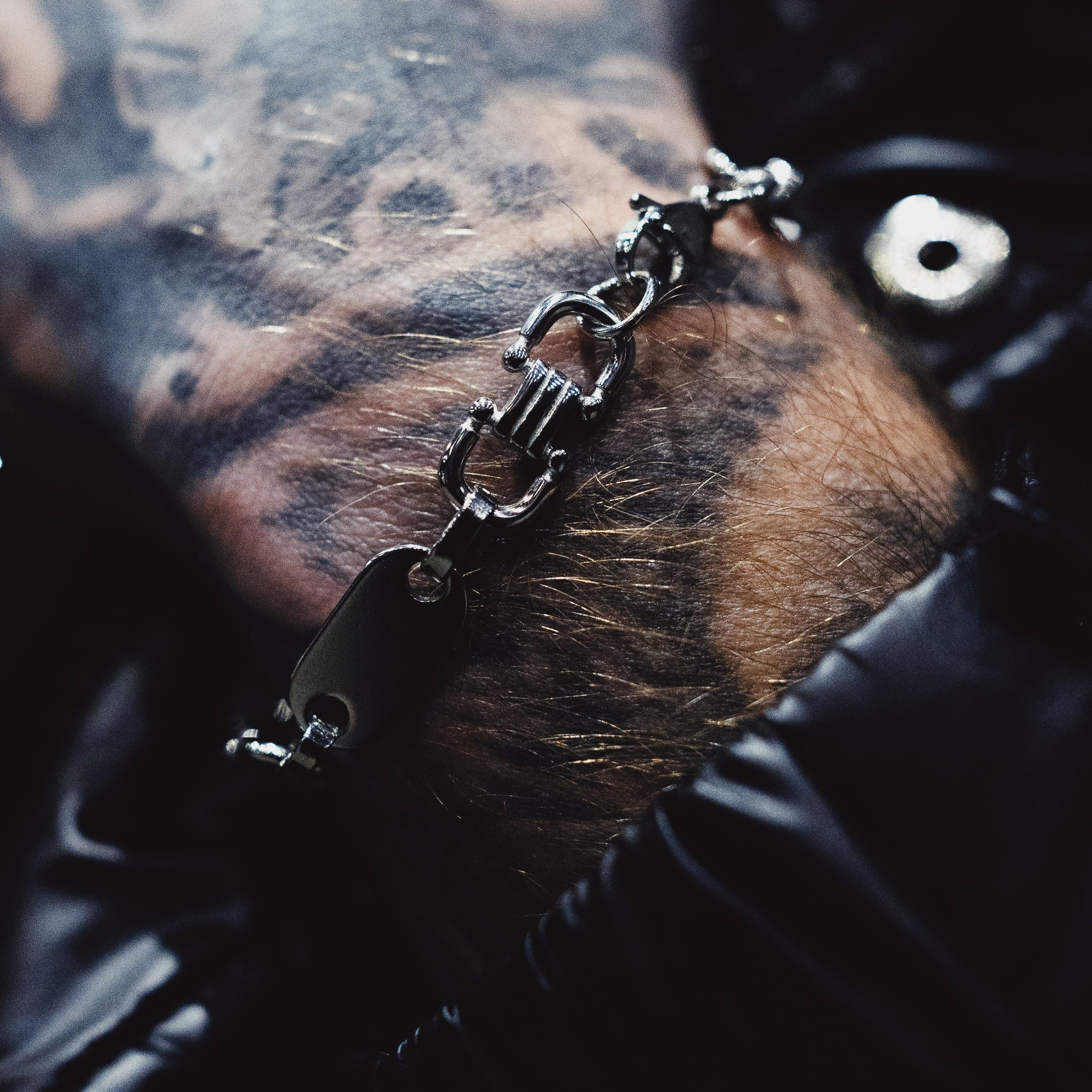 10mm Plattenkette 20cm Armband Steigbügelkette aus Edelstahl - Taipan Schmuck