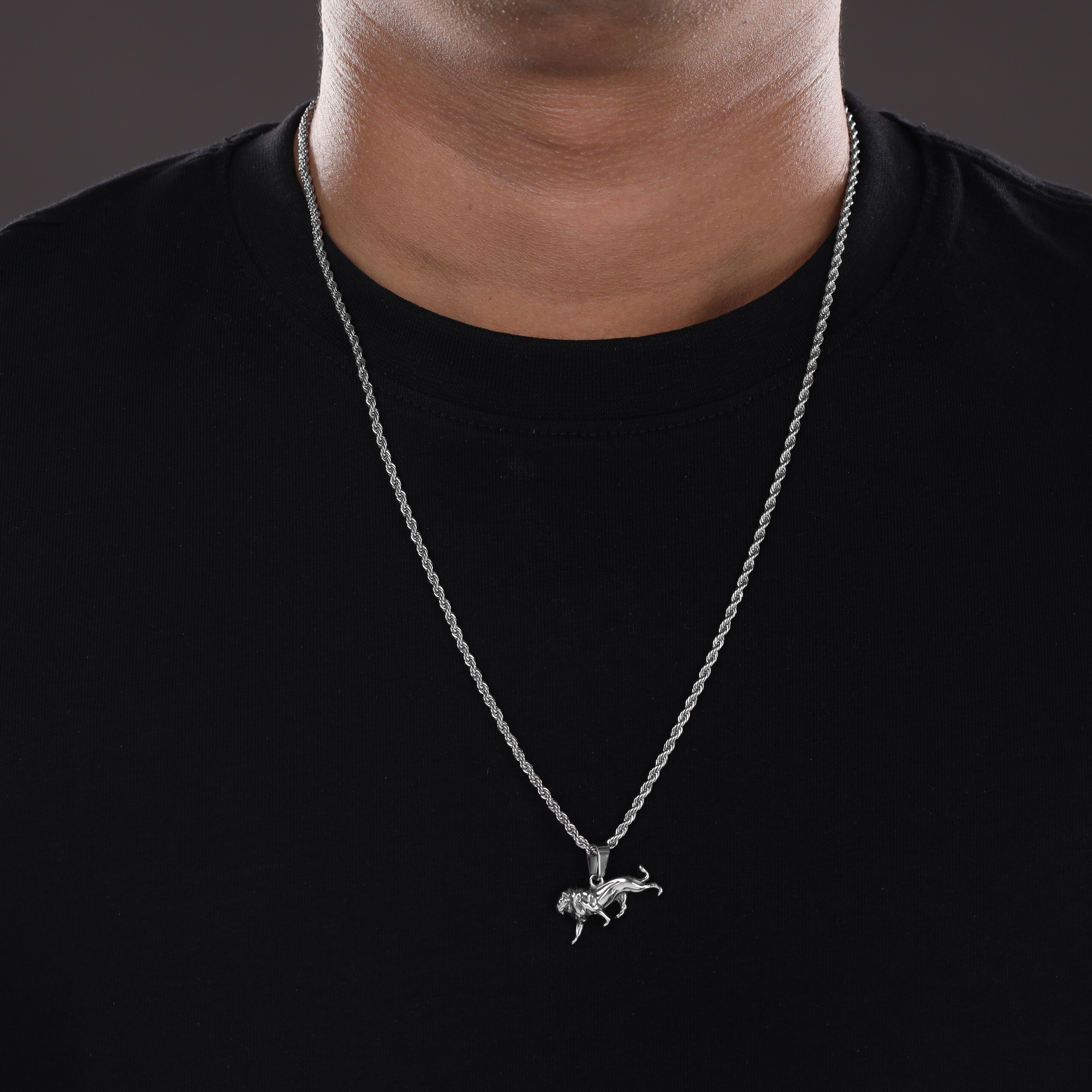 Set Kordelkette Rope Chain mit Löwe Anhänger aus Edelstahl - Taipan Schmuck