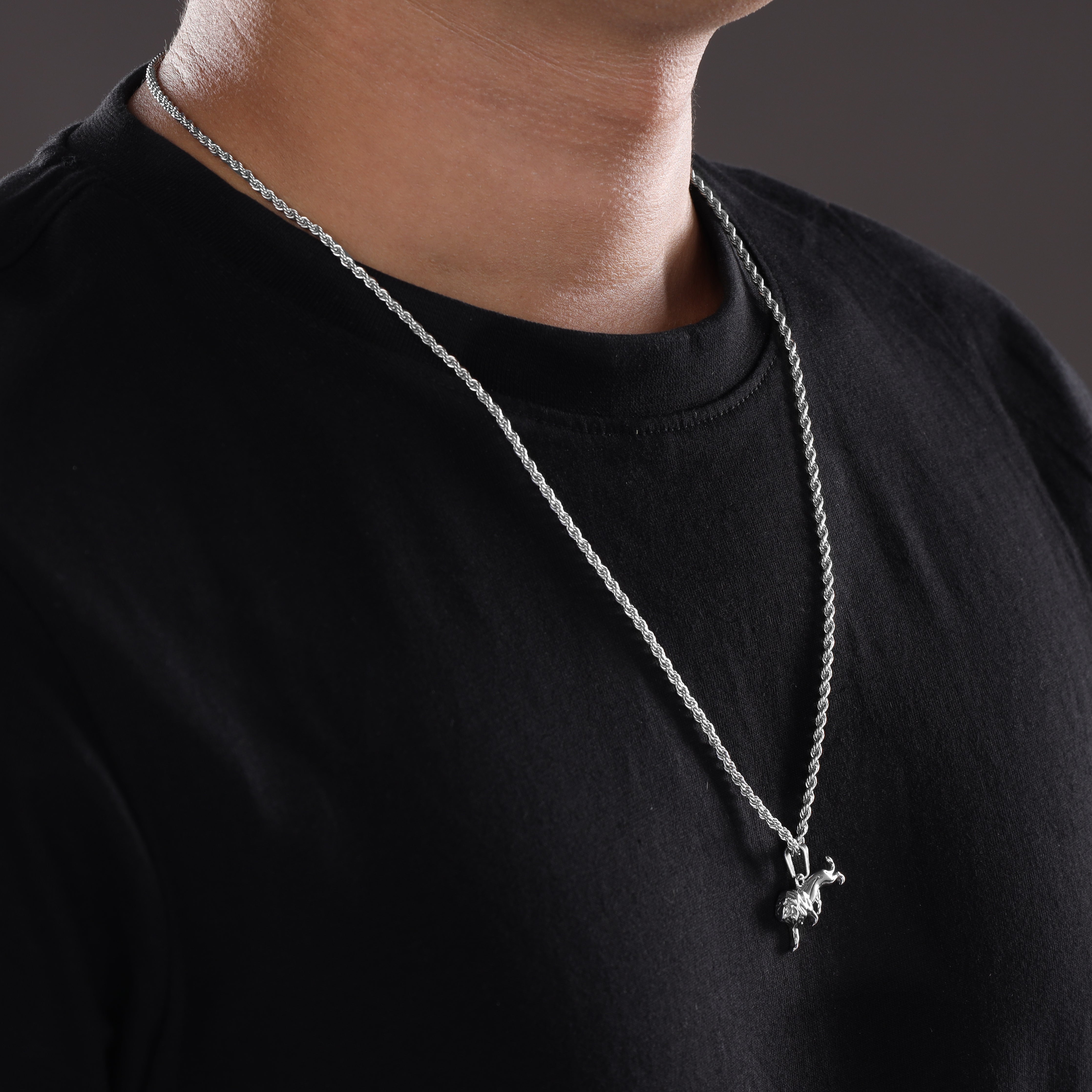 Set Kordelkette Rope Chain mit Löwe Anhänger aus Edelstahl - Taipan Schmuck