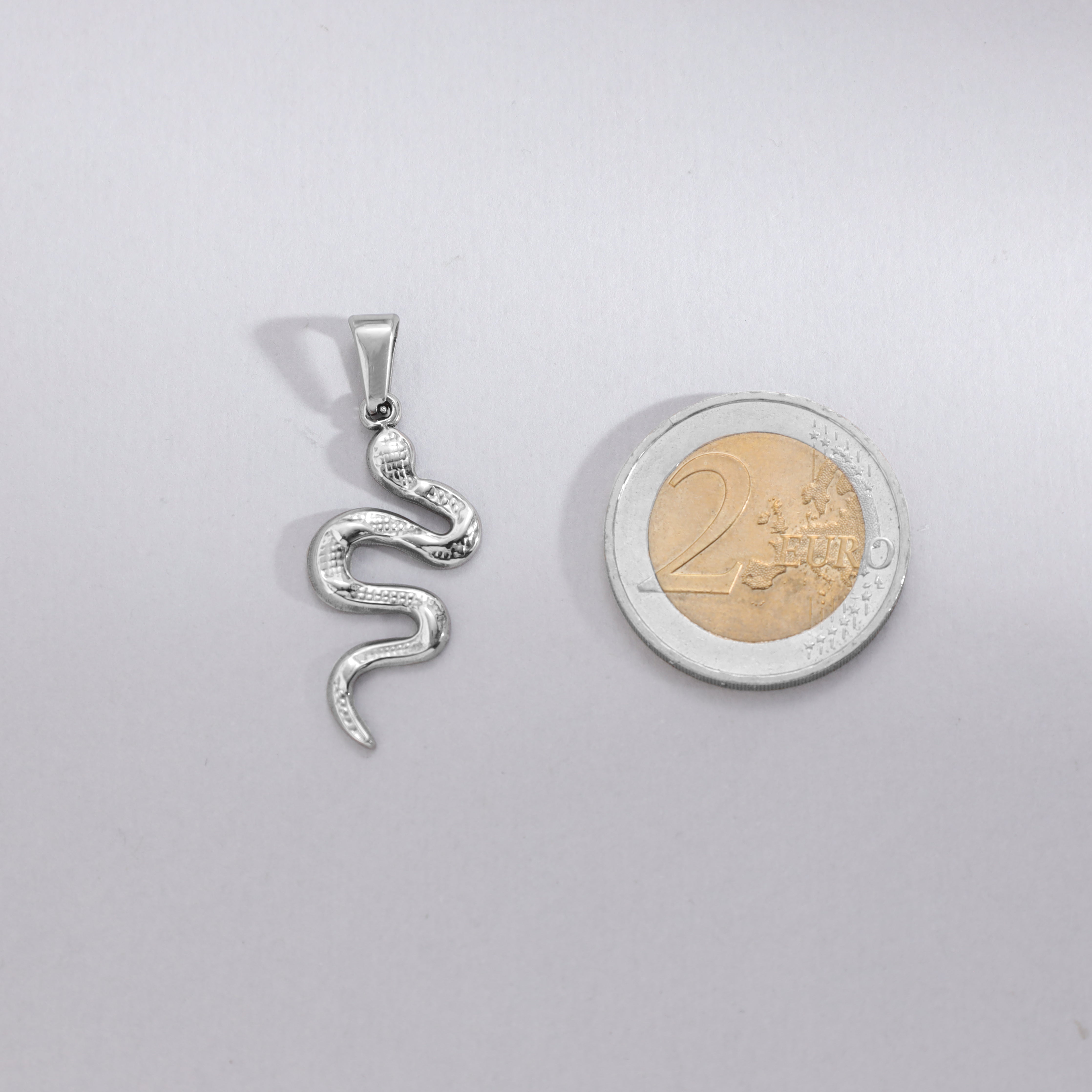 Schlange Anhänger aus Edelstahl - Taipan Schmuck