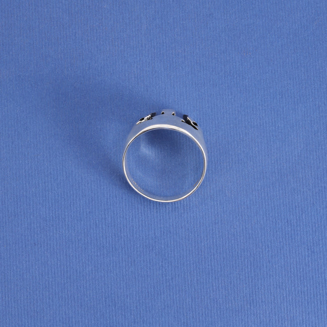6. Bild von Gladiator Helm Silberring oxidiert Gr. 9/10/11  aus 925 Sterlingsilber